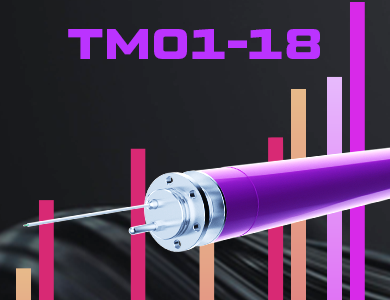 Downhole Measuring System TM01-18